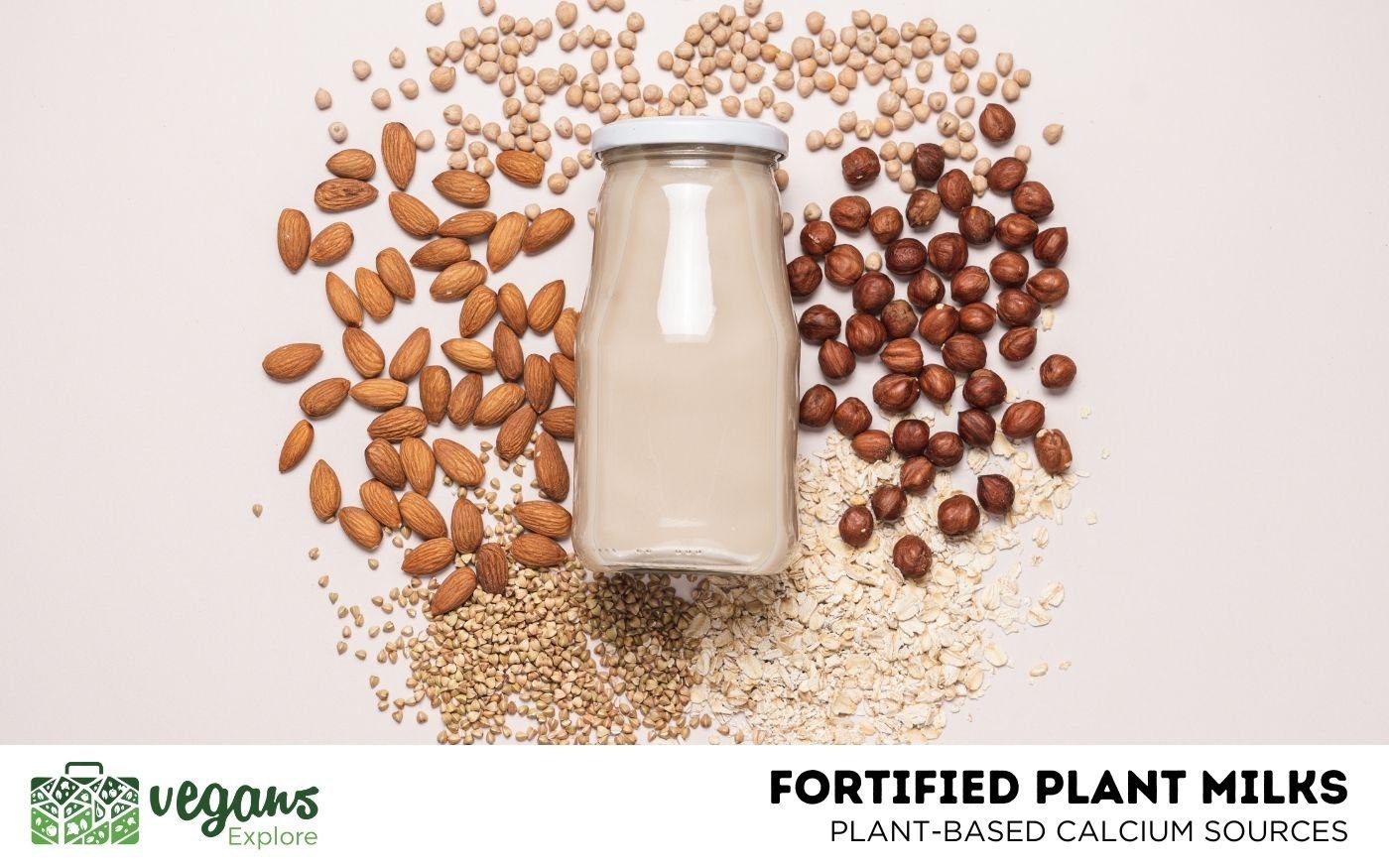 Fortified Plant Milks Fortified Fiction