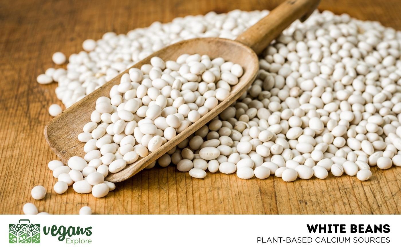 White Beans White Beans