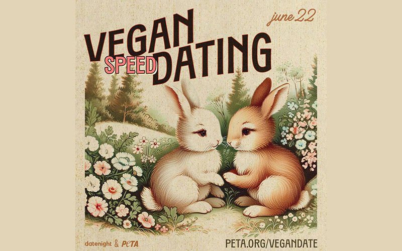 Vegan Speed Dating