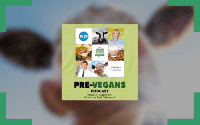 Vegan or Vegetarian: What’s the Real Difference? | Pre-Vegans Podcast